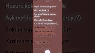 Gripin - Aşk nerden nereye (şarkı sözleri) speed up