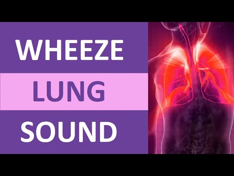 Wheezing Lung Sound Audio (High Pitch) | Nursing Adventitious Lung Sounds NCLEX Review