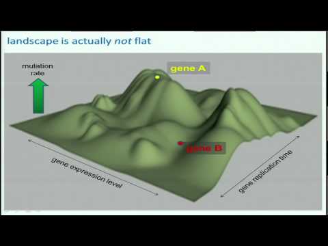 The Spectra of Somatic Mutations Across Many Tumor Types - Michael Lawrence