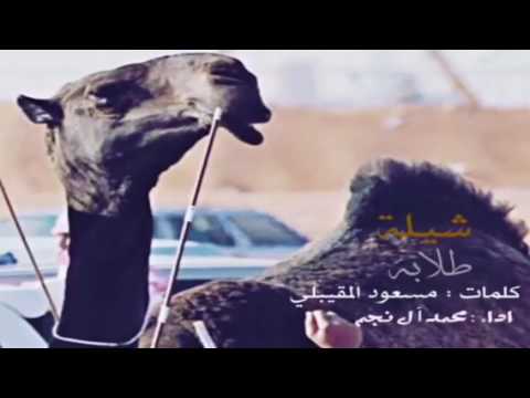 جديد وحصري 💥 شيله طلابه " اداء نجم الخليج محمد ال نجم طرررب 💥💥