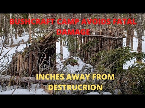 Bushcraft Shelter Avoids FATAL Destruction during Storm