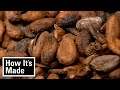 Cocoa Beans And Bulk Chocolate How It S Made Science Channel