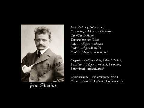 Fabrizio Terenzi Tutorial Concerto Sibelius, Op 47 for Flute.