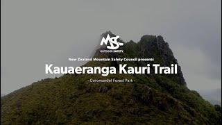 The tramp to Pinnacles Hut on the Kauaeranga Kauri Trail is one of Aotearoa's most popular, particularly with young families and first-time trampers.