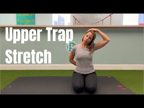 Upper Trap Stretch | B3 Physical Therapy