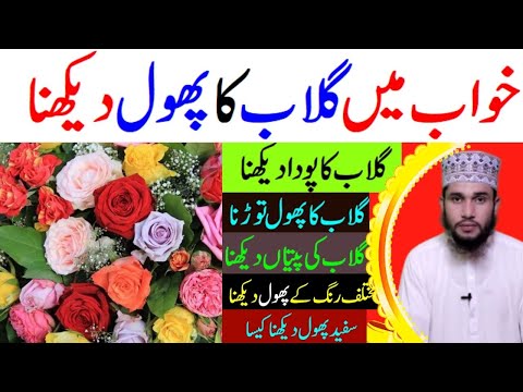 khwab mein gulab ka phool dekhna tabeer || Gulab ka Phool Dekhna ya Torna || Gulab ka Poda Dekhna