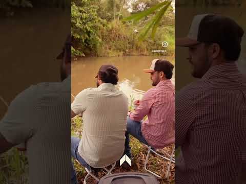 IMC FAZENDAS - Chácaras 33 litros à venda em Firminópolis Goiás .