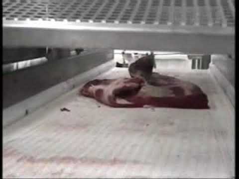 Inteneritrice automatica