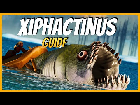 Xiphactinus Guide: Spawn, Taming, Eigenschaften | ARK Survival Ascended