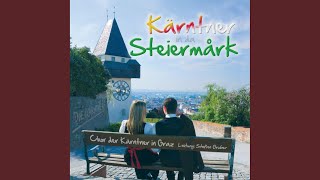 Da drauß&#39;n im Wald