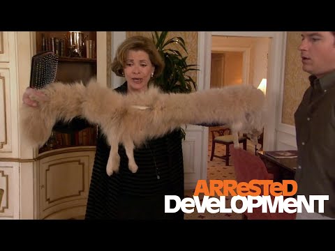 Lucille and Her Missing Foot | Arrested Development