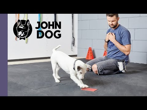 Sztuczka „łapka” – TRENING – John Dog