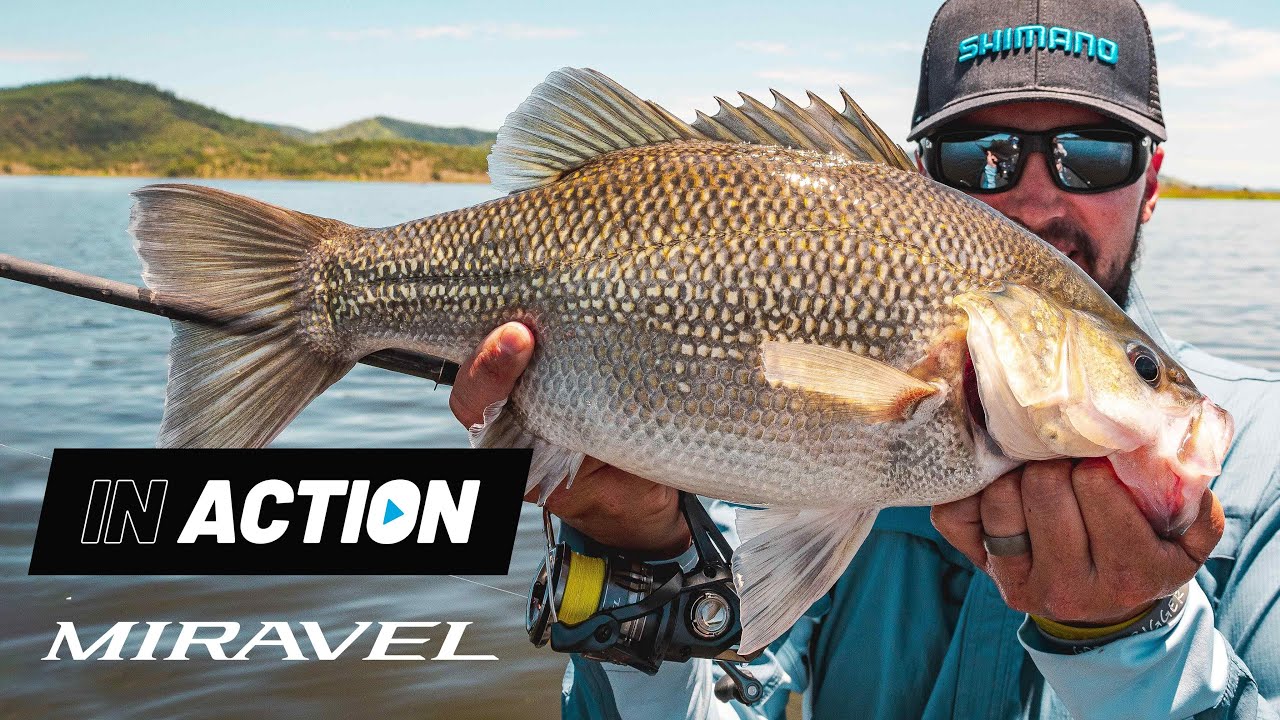 Shimano Miravel Spin Reel video thumbnail