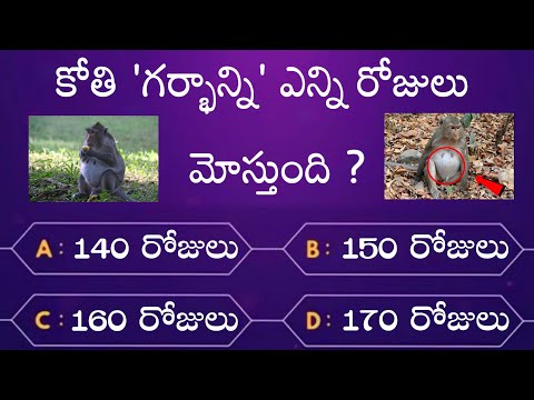 Interesting questions in telugu - episode-32 - unknown facts - genera knowledge - telugu quiz