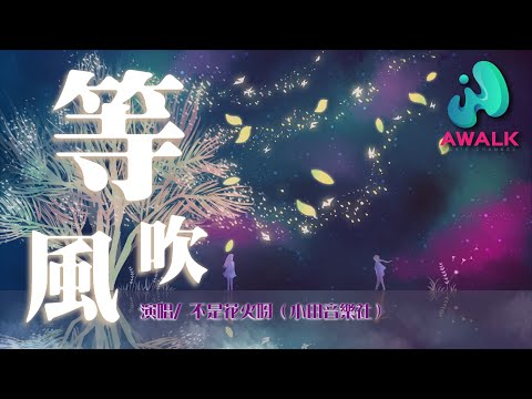 bu shi hua huo ya - deng feng chui | Pinyin Lyrics