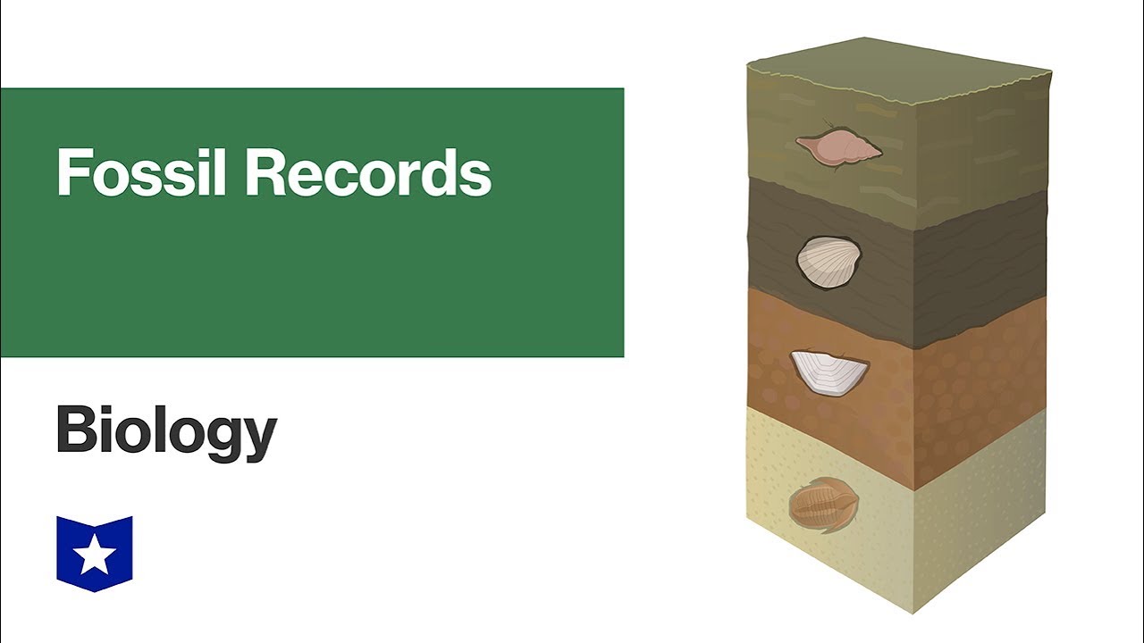Fossil Records | Biology