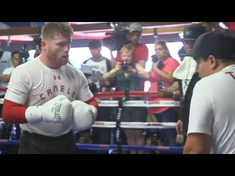 Le contrat en or d'Alvarez