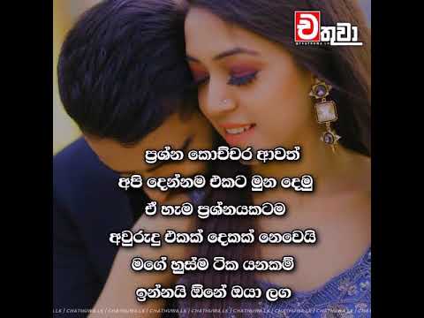 Featured image of post Romantic True Love Sinhala Love Quotes - Here are some of the cutest and most romantic love quotes i have curated over the past months so you can romance your partner without much effort.