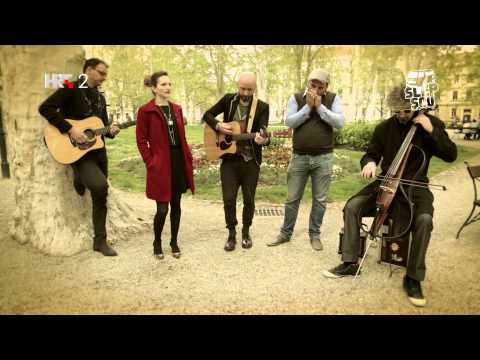 Šlep Šou, Pavel - Zbog tebe