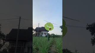 Download lagu nyoreku ngeneki bolo mp3 Download lagu nyoreku ngeneki bolo mp3