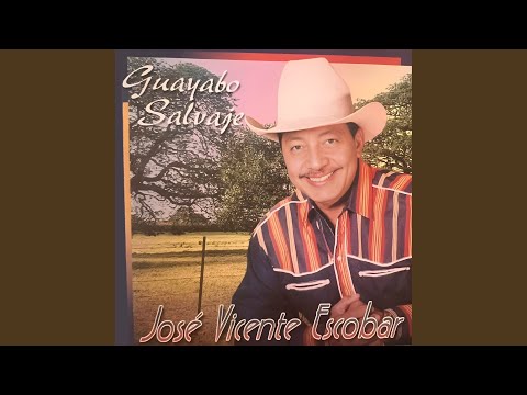 Mande Jefe Que Yo Voy