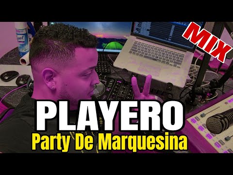 PLAYERO / THE NOISE / SEX - MIX (CLASICOS) 🔥