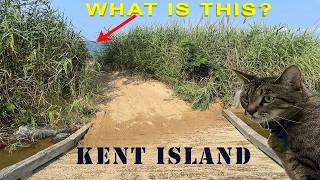 Exploring Stevensville, MD on Kent Island