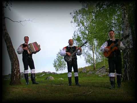 ANSAMBEL VASOVALCI - NA POTEP instr