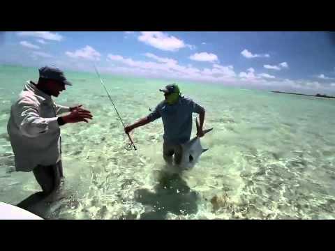 Fluefiskeri efter tarpon, bonefish og permit