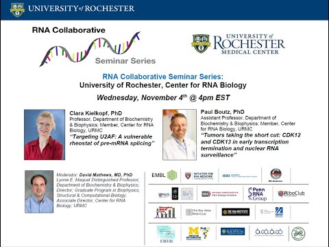 RNA Collaborative - UR Center for RNA Biology: Nov 4, 2020