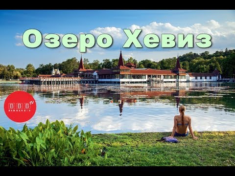 Гимнастика при болях и грыжи в пояснице Конский жир мазь для суставов