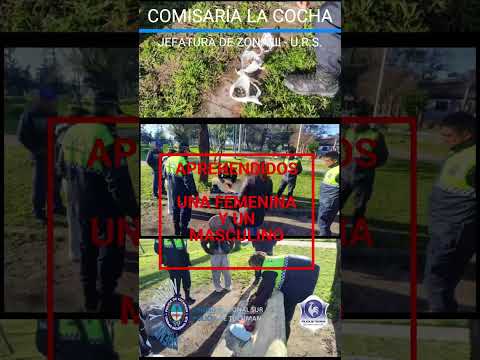 Secuestro de marihuana, Comisaría la Cocha.  #policia #noticias #seguridad