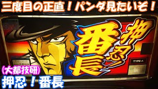 再リベンジ！初代番長でパンダが見たいぞライブ！【実機配信】4号機『押忍！番長』【LIVE】