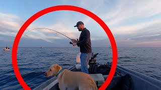 THEY'VE NEVER SHOWN UP THIS EARLY IN SPRING - NC Saltwater Fishing