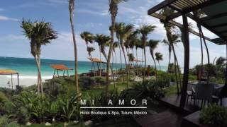 Mi Amor - Fall in Love All Over Again