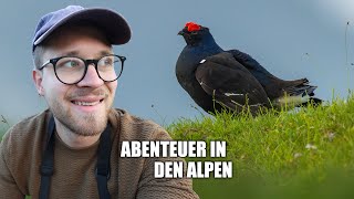 Eine Woche intensiv-Vogelbeobachtung in den Alpen - Der Film