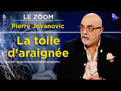 Scandale Epstein : nouvelles révélations de Pierre Jovanovic ! Le Zoom - TVL