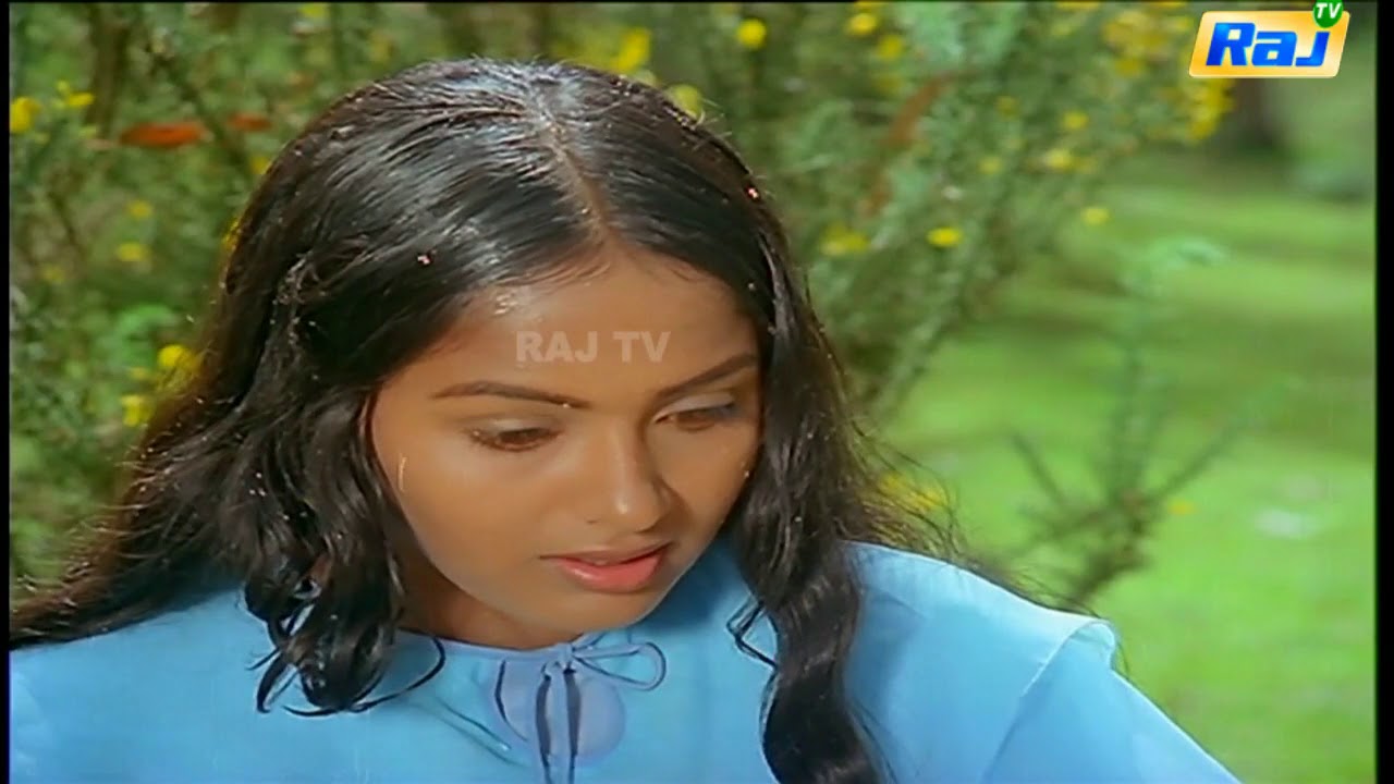 Selai Kudai Pidikka Song Lyrics | Aayiram Muthangal