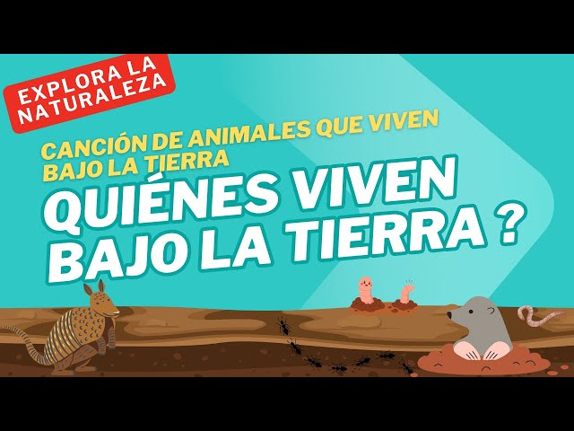 Vídeo relacionado con Bajo tus pies: Suelo, arena y todo lo que hay bajo tierra (DK Infantil)