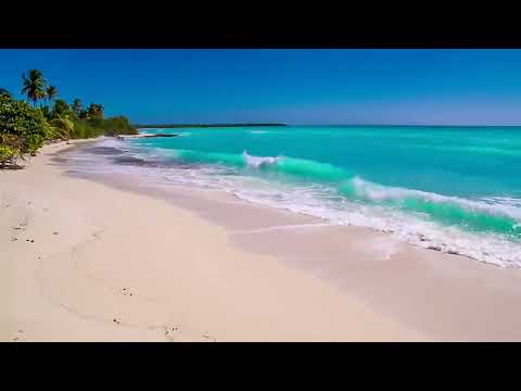 Waves on Saona Island  - Relaxing Beach Sounds of the Caribbean Sea For Study, Meditation and Sleep