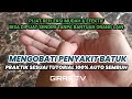 Cough Solution Palm Reflexology Massage GIRAS TV