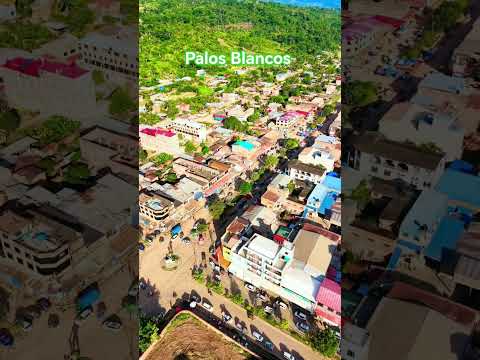 Palos Blancos Sud Yungas