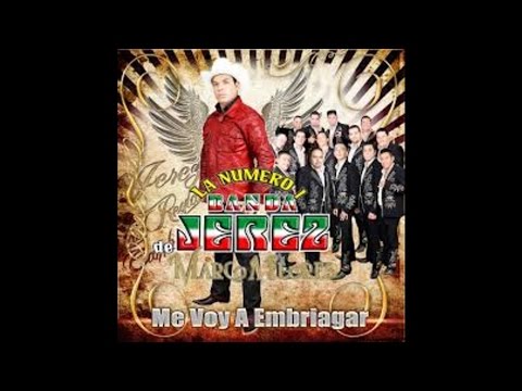 Marco Flores Y La Numero 1 Banda Jerez - La Sozobra [Audio]
