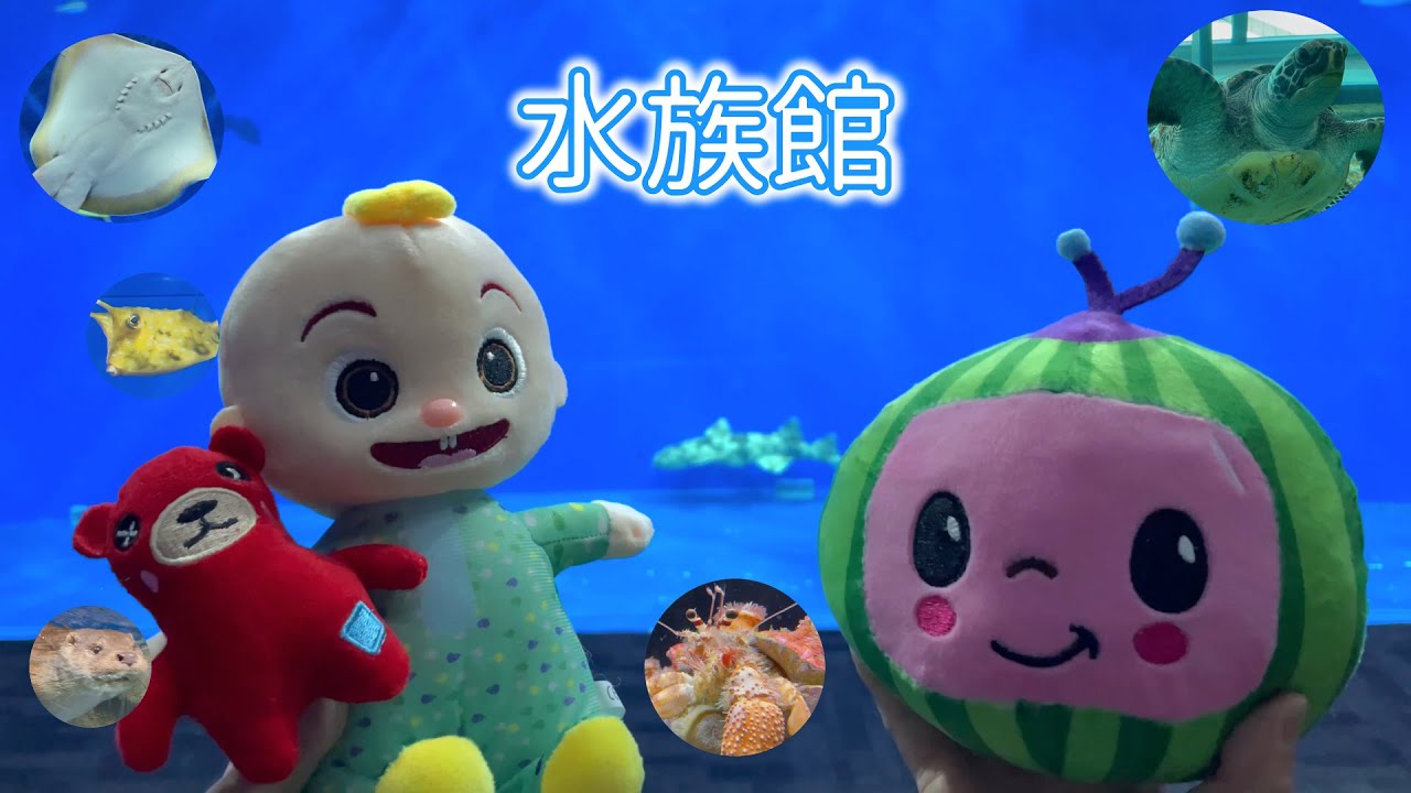 ココメロンとジェイジェイ すいぞくかんに遊びに行く  Cocomelon and JJ go out to play to an aquarium Is there a baby shark ?