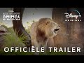 Magic of Disney's Animal Kingdom | Officiële Trailer | Disney+ NL
