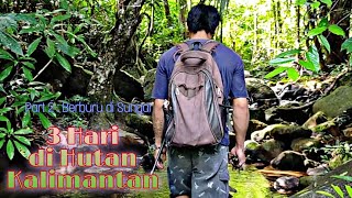 Download lagu Suku Dayak || 3 Hari hidup di Hutan, Eksplorasi Sumber Makanan di Sungai mp3 Download lagu Suku Dayak || 3 Hari hidup di Hutan, Eksplorasi Sumber Makanan di Sungai mp3