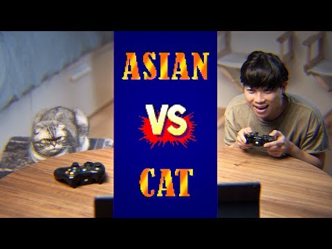 Street Fighter: ASIAN vs. CAT
