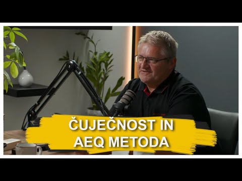 AEQ AIDEA Podcast #3 Clips - Awareness and the AEQ method (English subs)