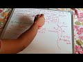 Great Circle Sailing Calculation