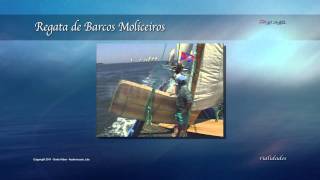 preview picture of video 'Regata de Barcos Moliceiros'